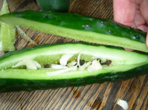 Too Pickell Large Coucumbrs