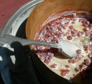 Fresh Currants Infused in the Cream