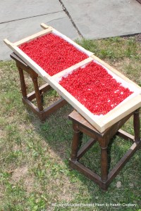 Drying currants