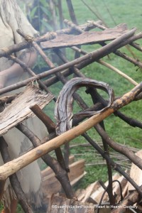 Eel drying on my drying rack
