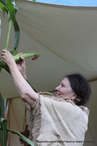 Harvesting Green Corn
