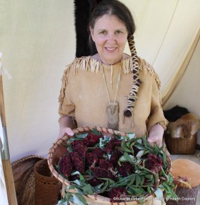 Harvested Sumac