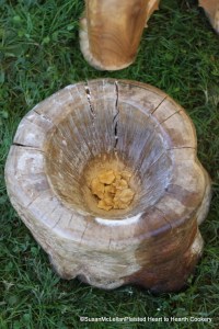 Pounding Dried SunRoots