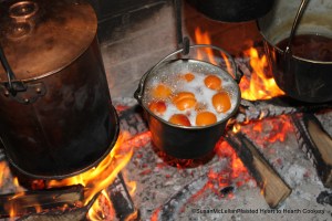 Apricots Boiling