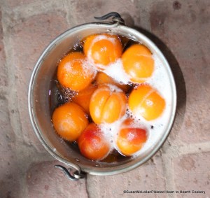 Apricots with Thick Syrup