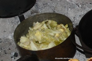 Lettice in a Sauce-pan