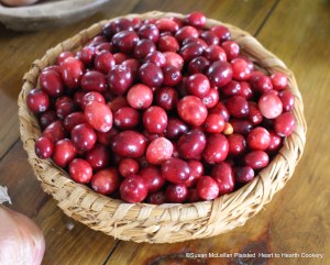 Fresh cranberries for Cranberry Tarts.