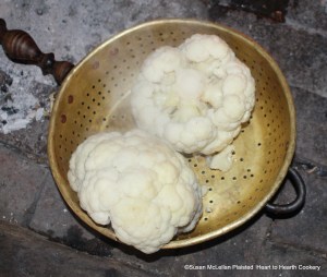 After the cauliflower have been boiled slightly for the receipt (recipe), "Cauliflowers dressed the Spanish Way", they are then drained well. In this picture, the cauliflower are in a reproduction colander for draining.