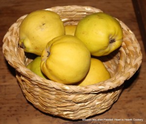 Quince are very rough and astringent, even raw; they cool and strengthen the Stomach, remove Nauseousness, and stop Fluxes of the Belly; raw Quinces cause the Colick, Wind, and bad Digestion; therefore 'tis proper to boil them, and sweeten them with Sugar.er 