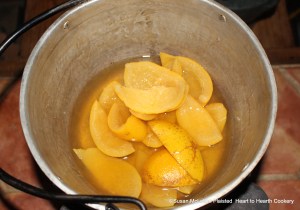 The peels of three Seville oranges for the receipt (recipe) "To make Orange Cheese Cakes" were boiled 'till they are tender changing the water to take off the bitterness.