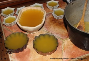 After the "moulds" for the receipt (recipe) "To make Orange Jelly" were selected the next step is to fill your moulds with the cooled mixture of the grated rind of China oranges, lemons and Seville oranges in Seville orange juice and isinglass boiled in water until dissolved.