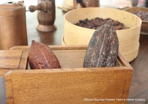 Pictured is a display of dried cocao pods from the first of two days of chocolate presentations for the preparation of the receipt (recipe) " To make Chocolate with Water".