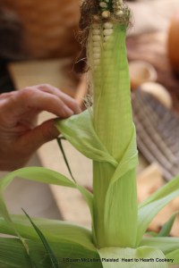 Before roasting or boiling Puhwem (Lenape white flour corn) in the green stage, the ear must be husked.  Note that unlike modern sweet corn, the green husks do not cover the entire ear and the husks completely overlap.  