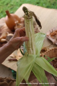 After husking the Puhwem (Lenape white flour corn) in the green stage, the silks are harvested.  The silks are full of nutrients.  There is one silk for pollinating each kernel from the tassels of the corn stalks.  If a kernel is not developed on an ear, it did not get pollinated.