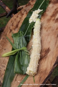 After all the milky kernels have been cut from the ear of Puhwem green corn (Lenape white flour corn in the green or milk stage), leaves from the plant are harvested and filled and folded per the account recorded by John Heckewelder to make green corn bread.