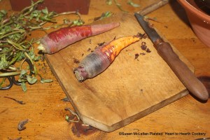 When the purple (red) carrot is pared for the receipt (recipe) To pickle anythinge greene: my second Cousen Clarke, the carrot appears close in color to the mid-sixteenth century appearance of the orange carrot that is known today.