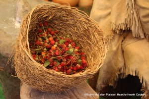 This basket contains foraged native strawberries (harvested in June) have a wonderful flavor much greater than their size. These will be preserved in the Lenape way.