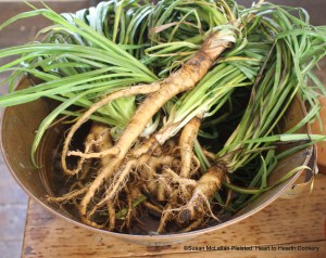 Pictured is the salsify that I harvested from my garden for the receipt (recipe) Stewed Salsify.  The roots tend to be long and thin.