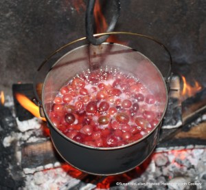 After the gooseberries are topped and tailed for the receipt (recipe) A Goose Bery Pudding boyle them soft.