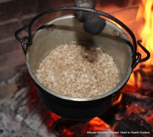 The first step in preparing the 1675 receipt (recipe) To make a pudding of French Barley is to tenderly boil the barley. The full receipt is written to take one pint Barley but I was preparing half the receipt and measured one half pint barley.