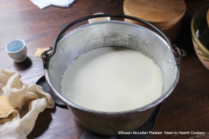 After as much rennet has been added to the cream to make it turn like cheese for the receipt (recipe) Fresh Cheese and Creame: My Lady Howe's Receipt, the receipt states when it come before proceeding with the next directions.  Pictured in the kettle is what it looks like when it comes.  The cream is now just one large, tender curd with just a little whey next to the kettle.