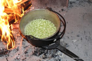 After the two pounds of sugar was added to one pint of water in a kettle for the receipt (recipe) The American Citron add the rind of the citron melon cut small to the kettle. Let it boil gently for four hours.