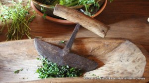 After the one egg is whisked well for the receipt (recipe) To Roast a Rabbit fresh parsley is chopped fine using a rocker knife.