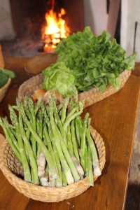 Pictured are the main ingredients for this 18th century receipt (recipe) A Ragoo of Asparagus - asparagus referred to as grass in the receipt, onion, a young lettuce, and endive. Endive in the 18th century was what is now referred to as escarole. Belgium endive was not cultivated until the early 19th century.