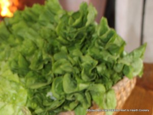 After the asparagus has been cut about an inch long for the receipt (recipe) A Ragoo of Asparagus take two heads of endive, clean, washed and picked, cut it very small.  What we know as endive today is Belgium endive which was not grown until the early 19th century.  What was endive at the time of this 18th century receipt, we now know as escarole.