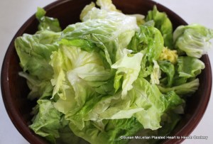 After the two heads of endive have been cleaned, washed and cut in small pieces for the receipt (recipe) A Ragoo of Asparagus a young lettuce was cleaned, washed and cut small.